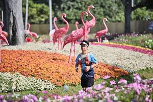 BIB: 
                            <button type="button" onclick="openModal(27793556)" class="btn btn-primary btn-sm float-right btn-popup" data-toggle="modal" data-target=".modal-high-quality">
                        <i class="fas fa-shopping-cart"></i> Add to Cart
                    </button>
                                            <button type="button" onclick="isThisMe(27793556, true)" class="btn btn-success btn-sm float-right btn-popup btn-isme hidden" data-toggle="tooltip" data-placement="bottom" title="นี่คือรูปของคุณใช่ไหม คลิกที่นี่เพื่อเอาเข้าอัลบั้ม">
                        <i class="fas fa-plus"></i> Add to album
                    </button>
                    <button type="button" onclick="isThisMe(27793556, false)" class="btn btn-warning btn-sm float-right btn-popup btn-isnotme hidden">
                        <i class="fas fa-ban"></i> Remove from album
                    </button>